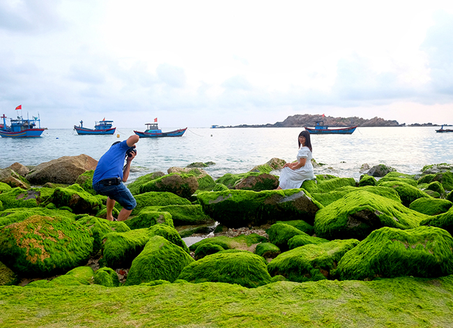 Check-in bãi đá rêu biển ở Nhơn Hải (Bình Định)