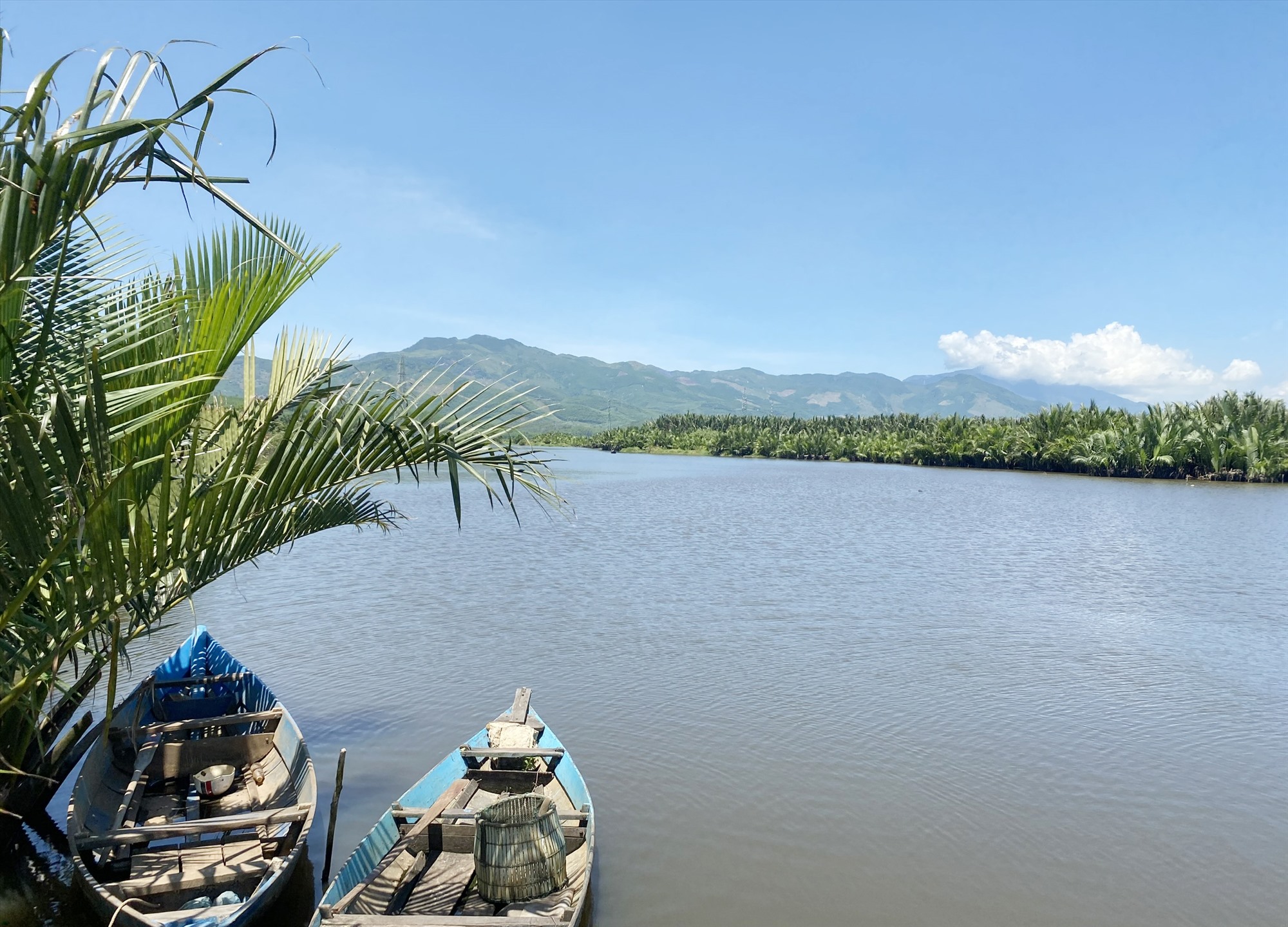 Quảng Nam: Đánh thức rừng dừa nước Tịch Tây