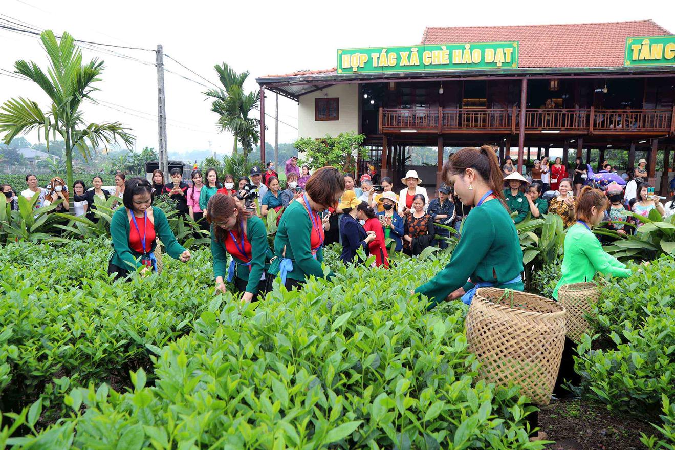 Thái Nguyên: Hình thành các sản phẩm du lịch độc đáo, đặc trưng, có thương hiệu