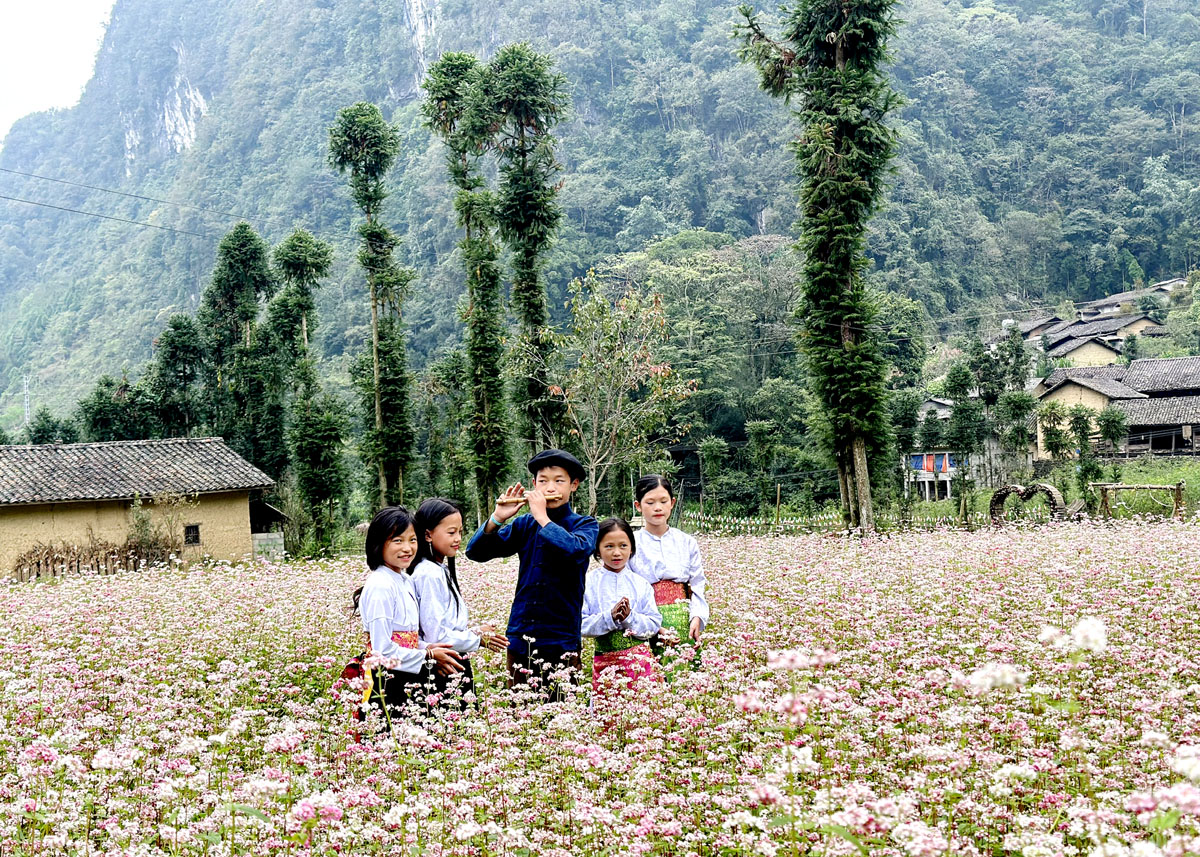 Hà Giang: Đồng Văn tích cực chuẩn bị cho Lễ hội hoa Tam giác mạch