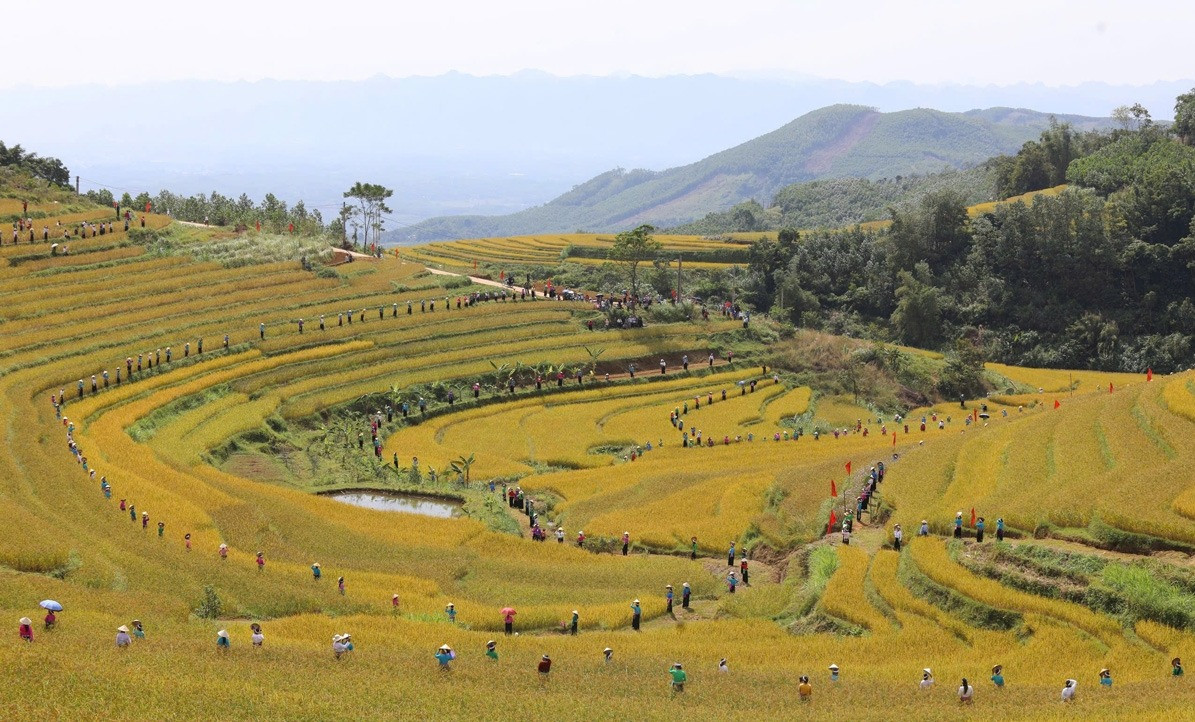 Du khách thích thú trước vẻ đẹp của ruộng bậc thang ở Hòa Bình