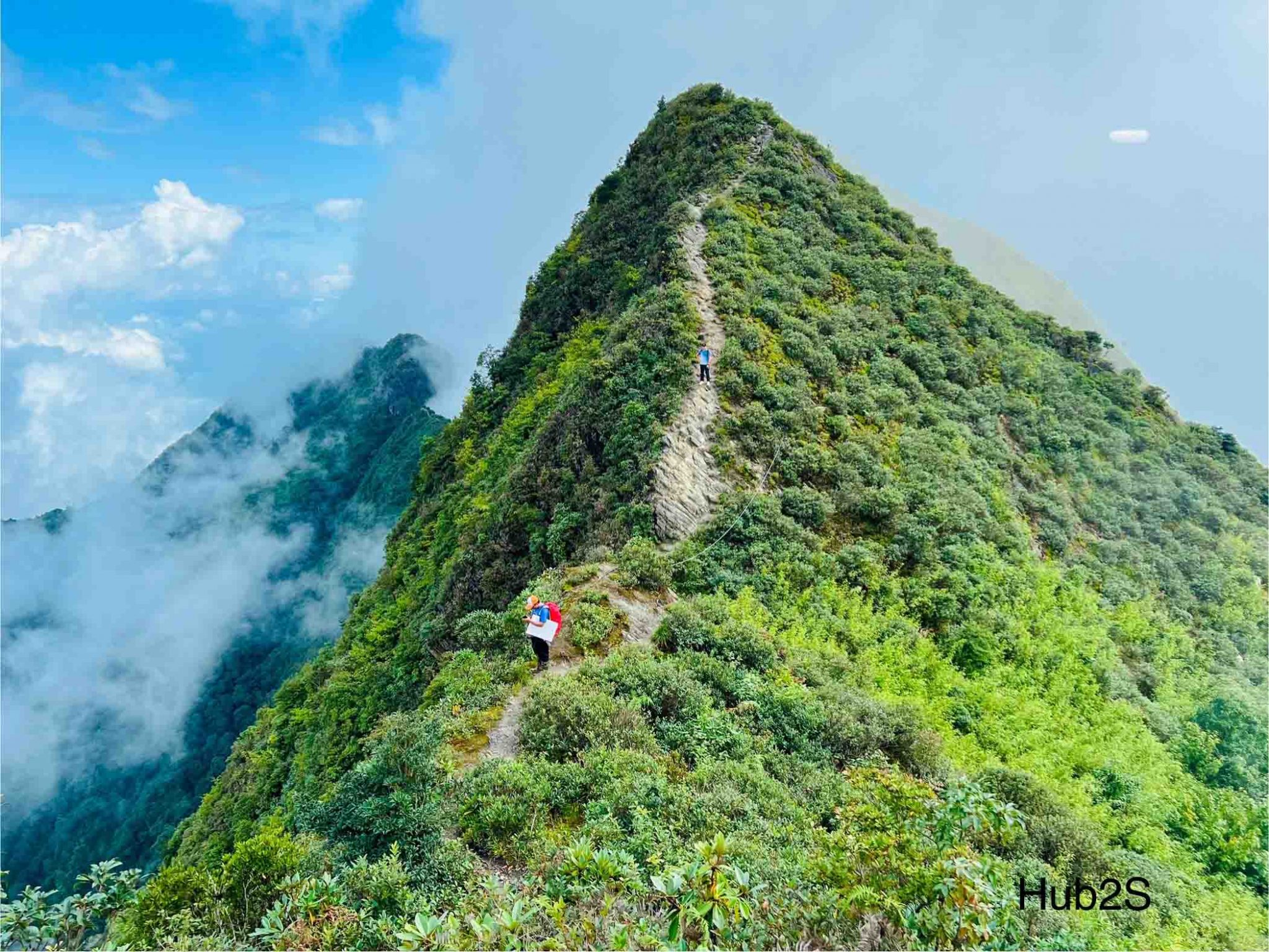 Săn mây trên ''sống lưng khủng long'', ngắm rừng rêu ở Tà Xùa