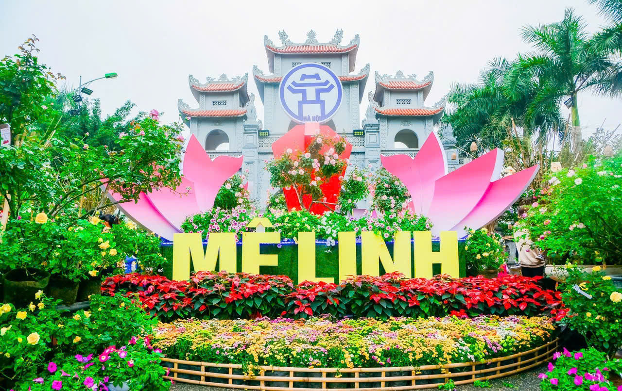 Hà Nội: Festival Hoa Mê Linh lần thứ 2 diễn ra trong 4 ngày