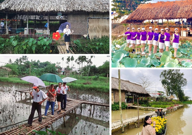 ''Ngôi làng'' sinh thái ở Nông trại sen Thiên Việt - Quảng Nam