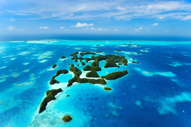 Cách đảo quốc Palau phát triển du lịch thông qua thúc đẩy bảo tồn hệ sinh thái biển