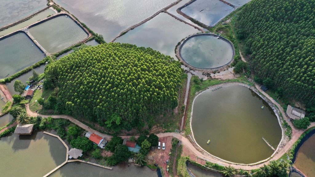 Quảng Ninh: Ấn tượng Khu du lịch trải nghiệm tại trang trại Family Ecozone