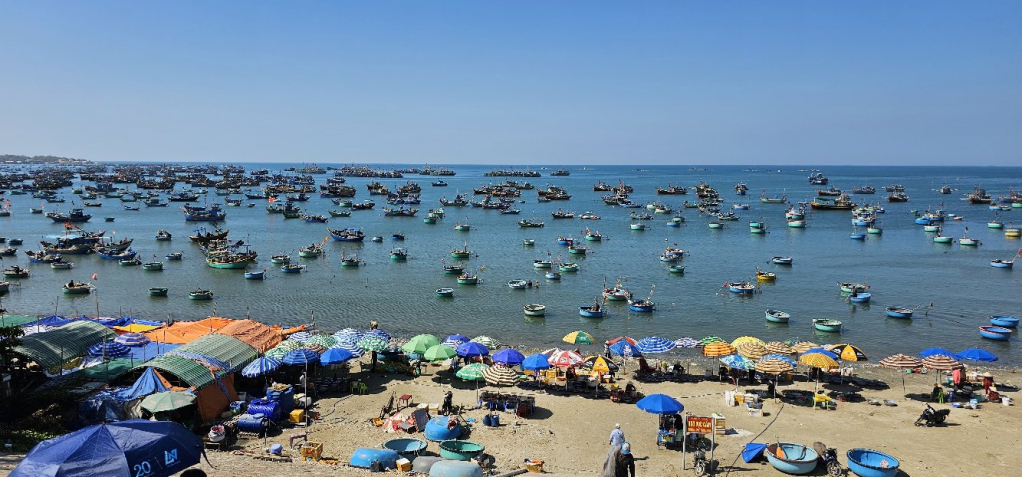 Bình Thuận: Độc đáo chợ cá làng chài Mũi Né