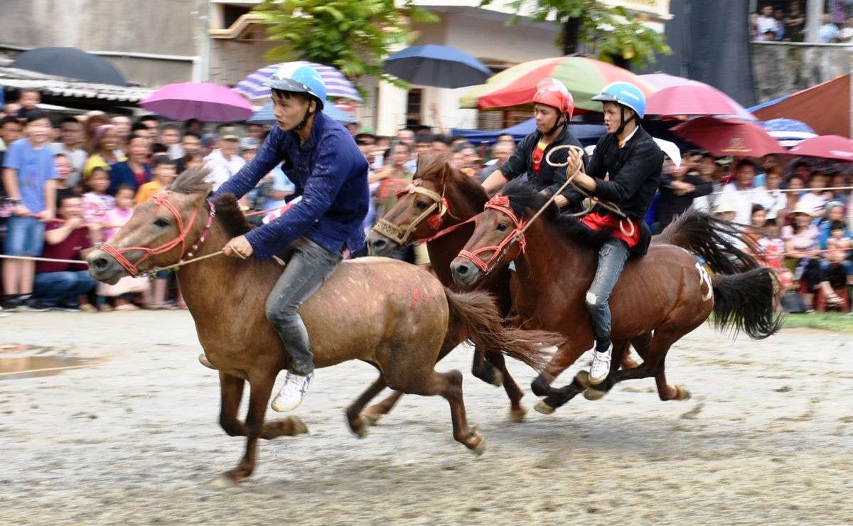 Cao nguyên Trắng Bắc Hà nhộn nhịp Lễ hội đua ngựa