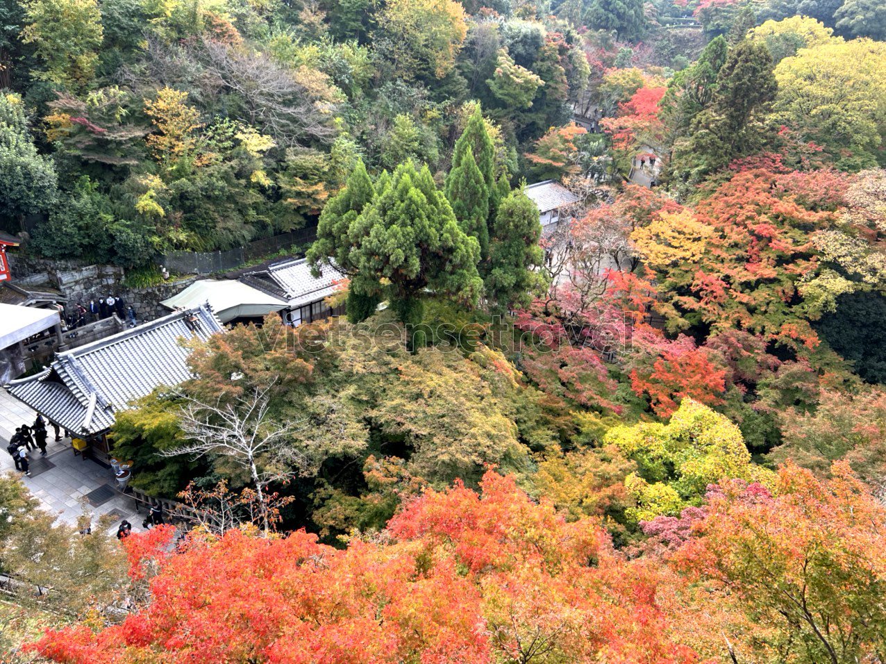 Trải nghiệm mùa thu tuyệt đẹp tại Nhật Bản
