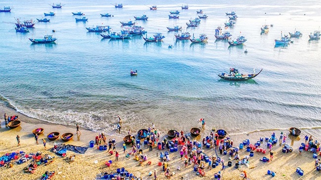 Thăm làng chài, nếm vị biển khơi ở Quảng Nam