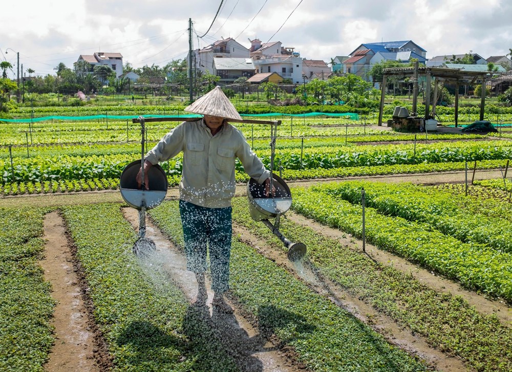 ''Làng du lịch tốt nhất năm 2024'' trong bối cảnh mới: Gia tăng sản phẩm văn hóa - du lịch xanh, lấy cộng đồng làm trung tâm