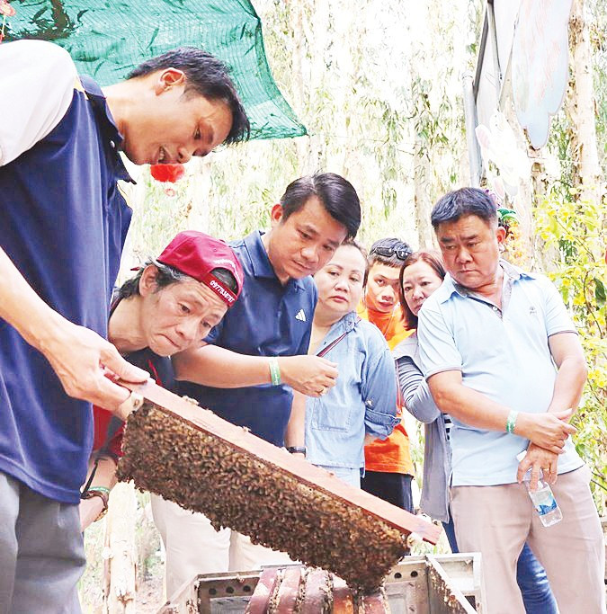 Vị ngọt dưới tán rừng Trà Sư - An Giang