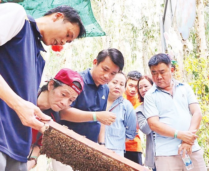 Vị ngọt dưới tán rừng Trà Sư - An Giang