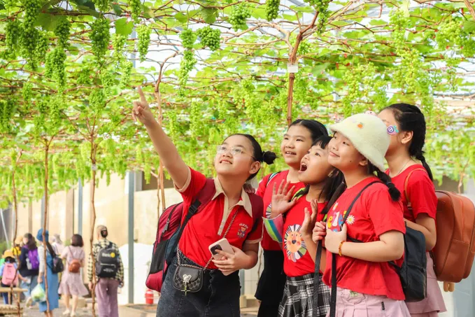 TP HCM: Sản xuất nông nghiệp kết hợp du lịch cộng đồng - Đa dạng trải nghiệm, tiêu dùng xanh