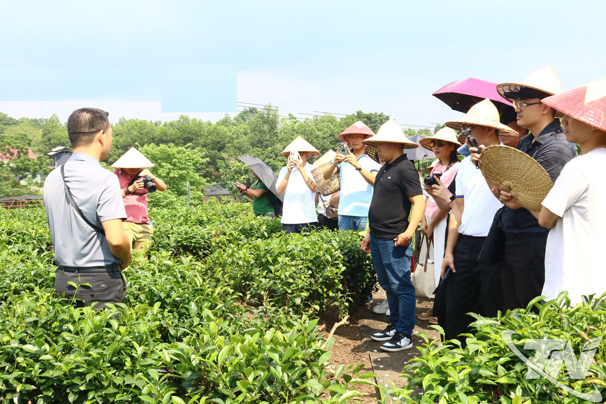 Thái Nguyên: Du lịch bền vững - hướng đi tất yếu thời hội nhập