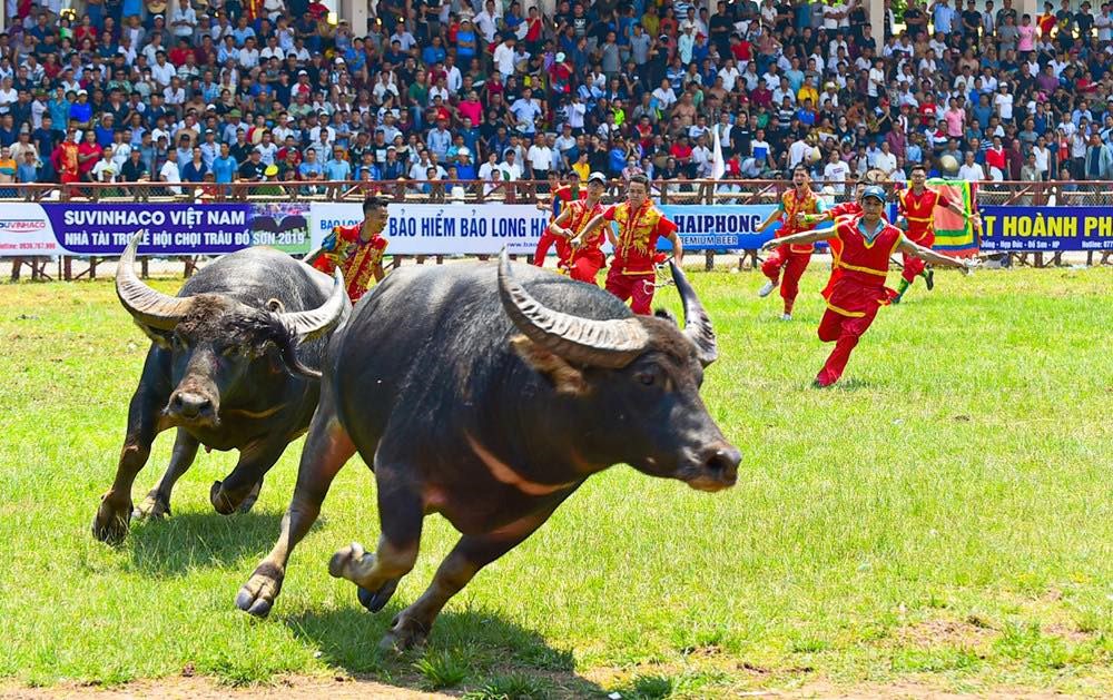 Môi trường văn hóa trong lễ hội: Bản sắc truyền thống là yếu tố hàng đầu