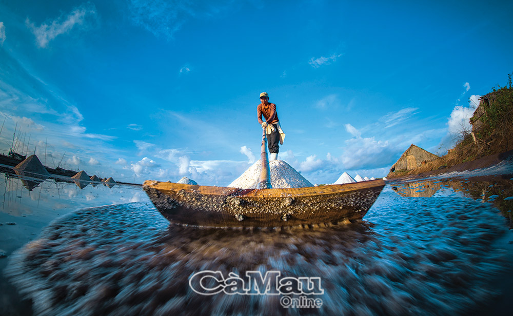 Cà Mau: Nâng tầm hạt muối quê hương