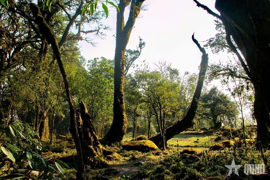 Bước chân chinh phục đỉnh Samu - Bước chuyển mình của du lịch Tà Xùa