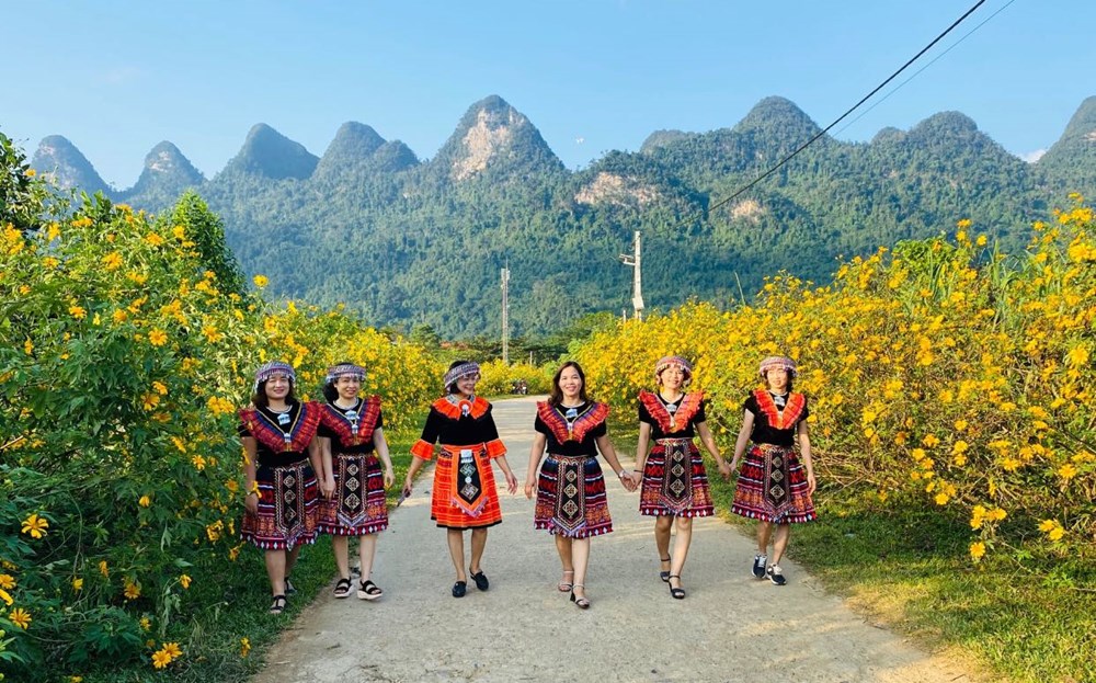 Hẹn nhau lên vùng cao nguyên đá check-in mùa Dã Quỳ nở rộ