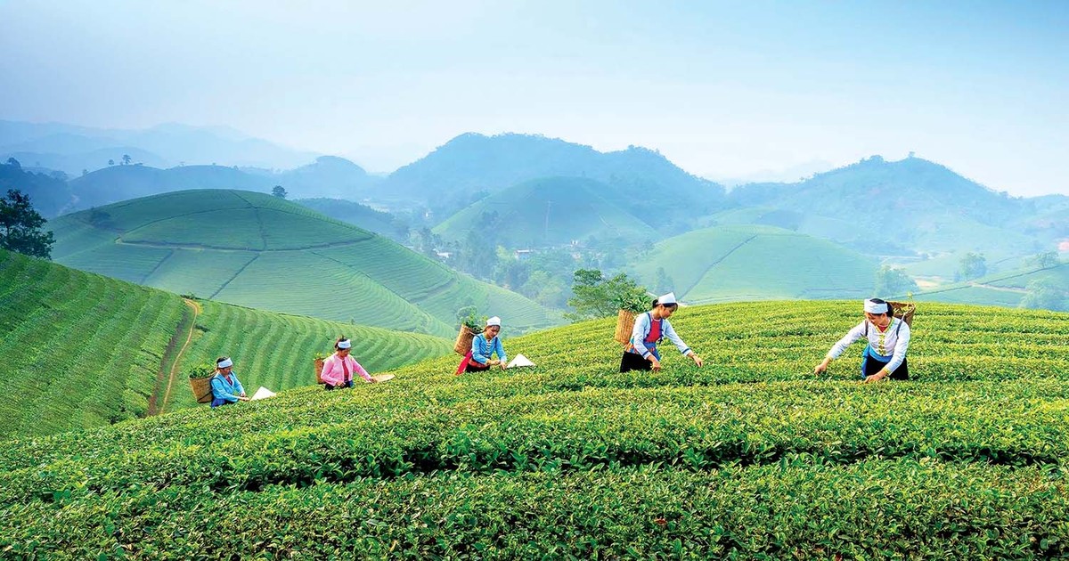 Thái Nguyên kết hợp phát triển OCOP và du lịch nông thôn bền vững