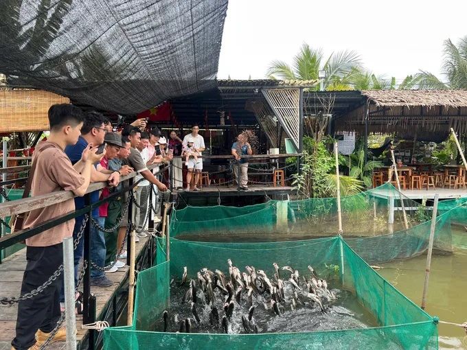 Một ngày thú vị ở Cồn Sơn (Cần Thơ)