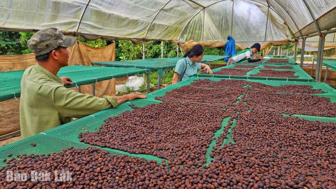 Tiềm năng du lịch canh nông ở xã Đắk Phơi - Đắk Lắk