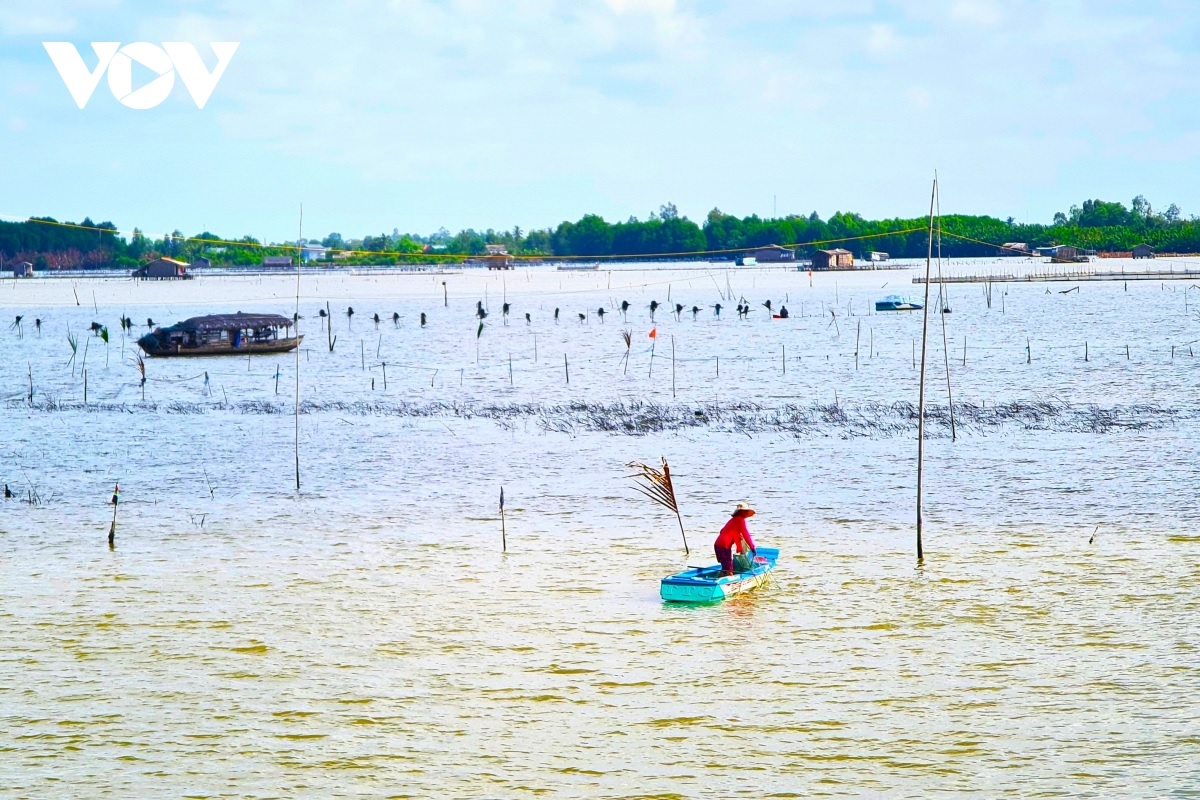 Cà Mau: Phát triển Đầm Thị Tường thành khu du lịch sinh thái