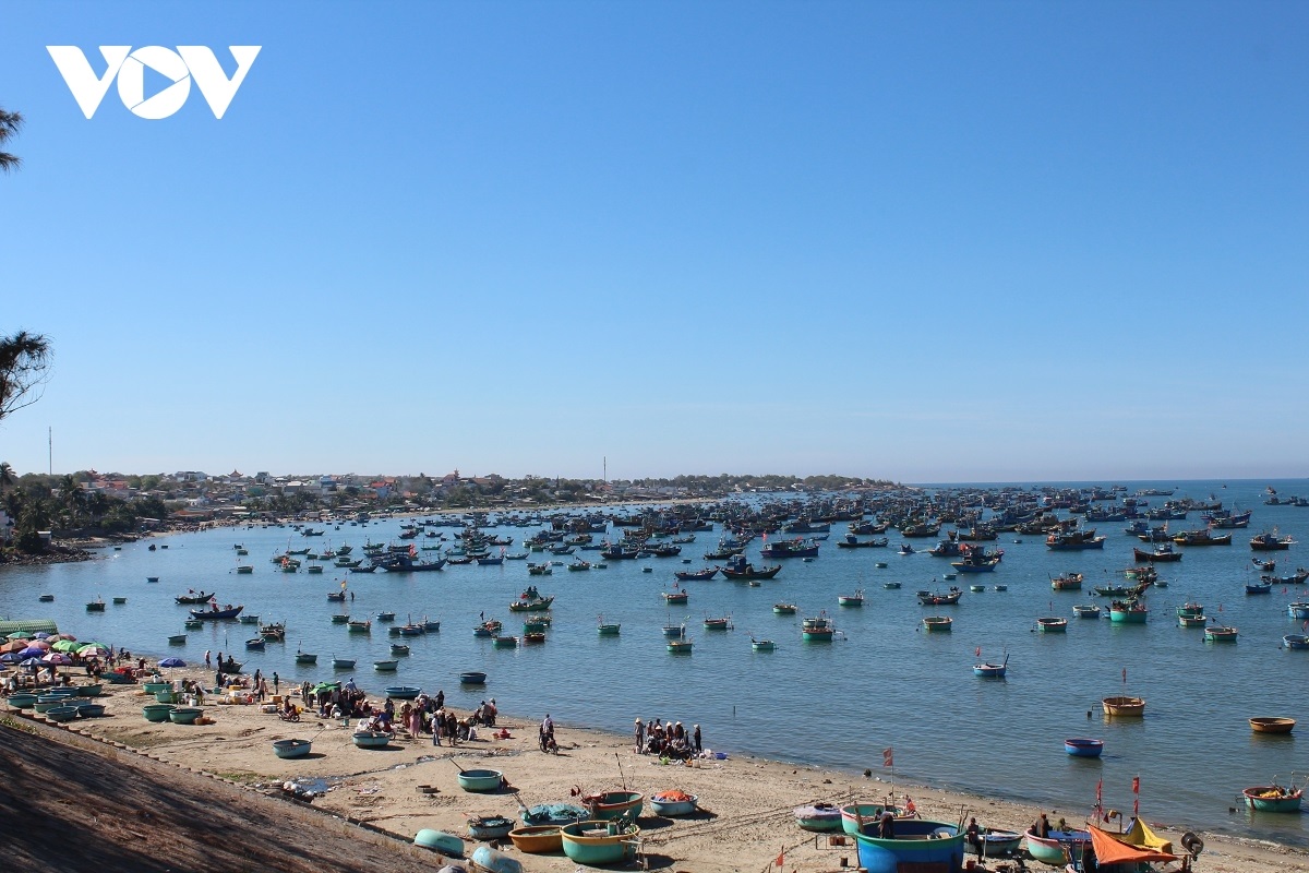 Lâm Đồng: Khu du lịch Quốc gia Mũi Né sẽ có 8 bến du thuyền