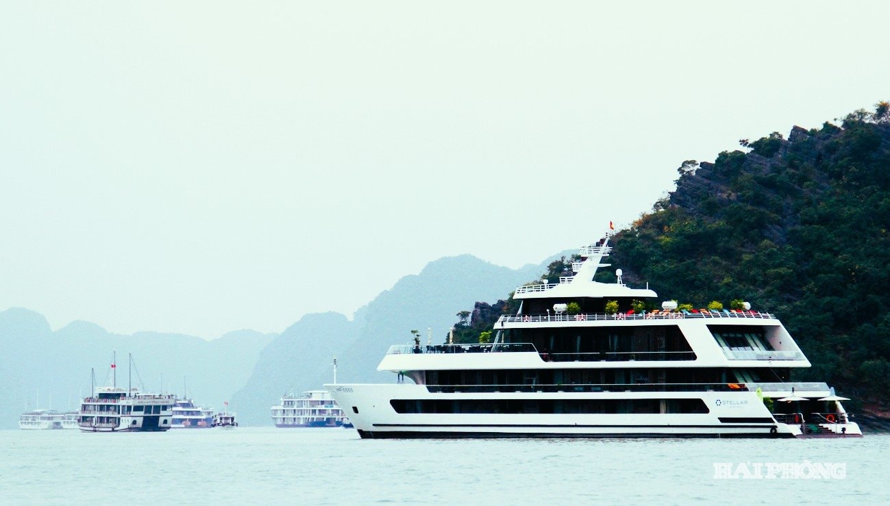 Hải Phòng đẩy mạnh du lịch du thuyền