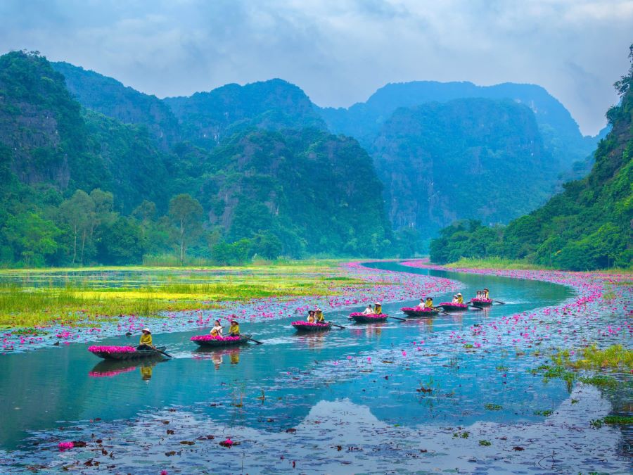 “Sắc Hồng Tam Cốc 2025 - Bản Tình Ca Mùa Thu”