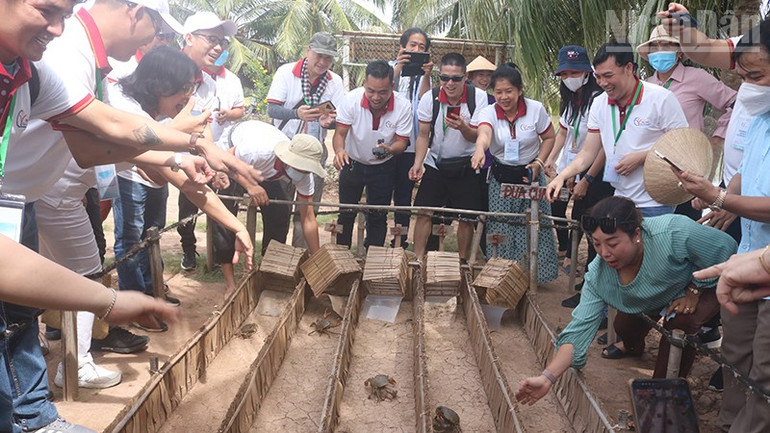 Vĩnh Long: Hấp dẫn du lịch cộng đồng ở Cồn Chim