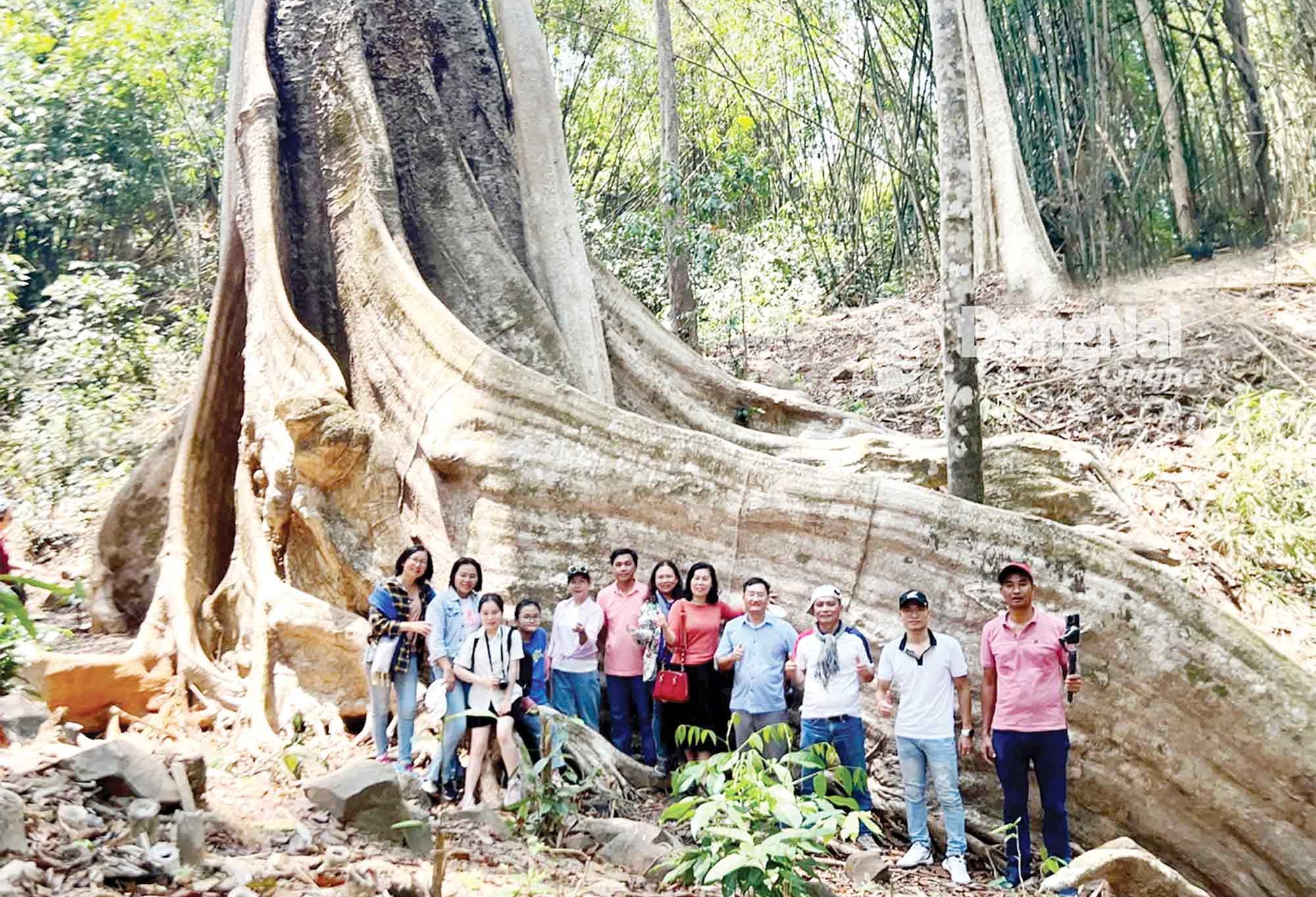 Du lịch Đồng Nai trong hành trình định vị thương hiệu du lịch xanh, bền vững