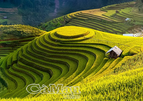 Những ruộng bậc thang đẹp nhất giữa đại ngàn Tây Bắc