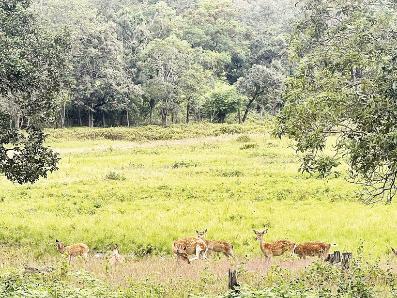 Bảo tồn hệ sinh thái, phát triển du lịch cộng đồng tại Vườn quốc gia Kon Ka Kinh