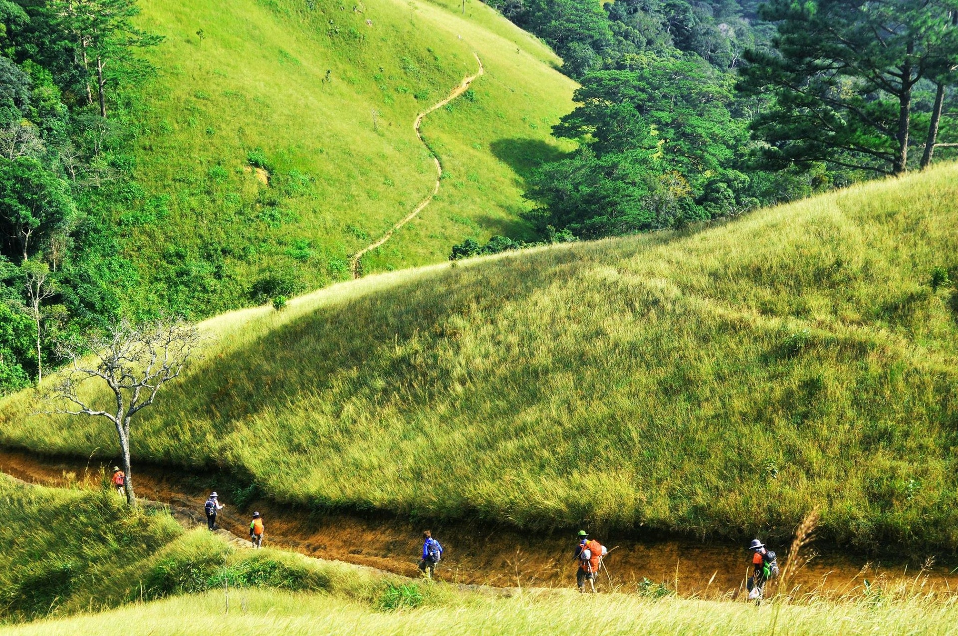 Để du khách mạnh dạn trải nghiệm các sản phẩm du lịch “độc - lạ” ở Lâm Đồng