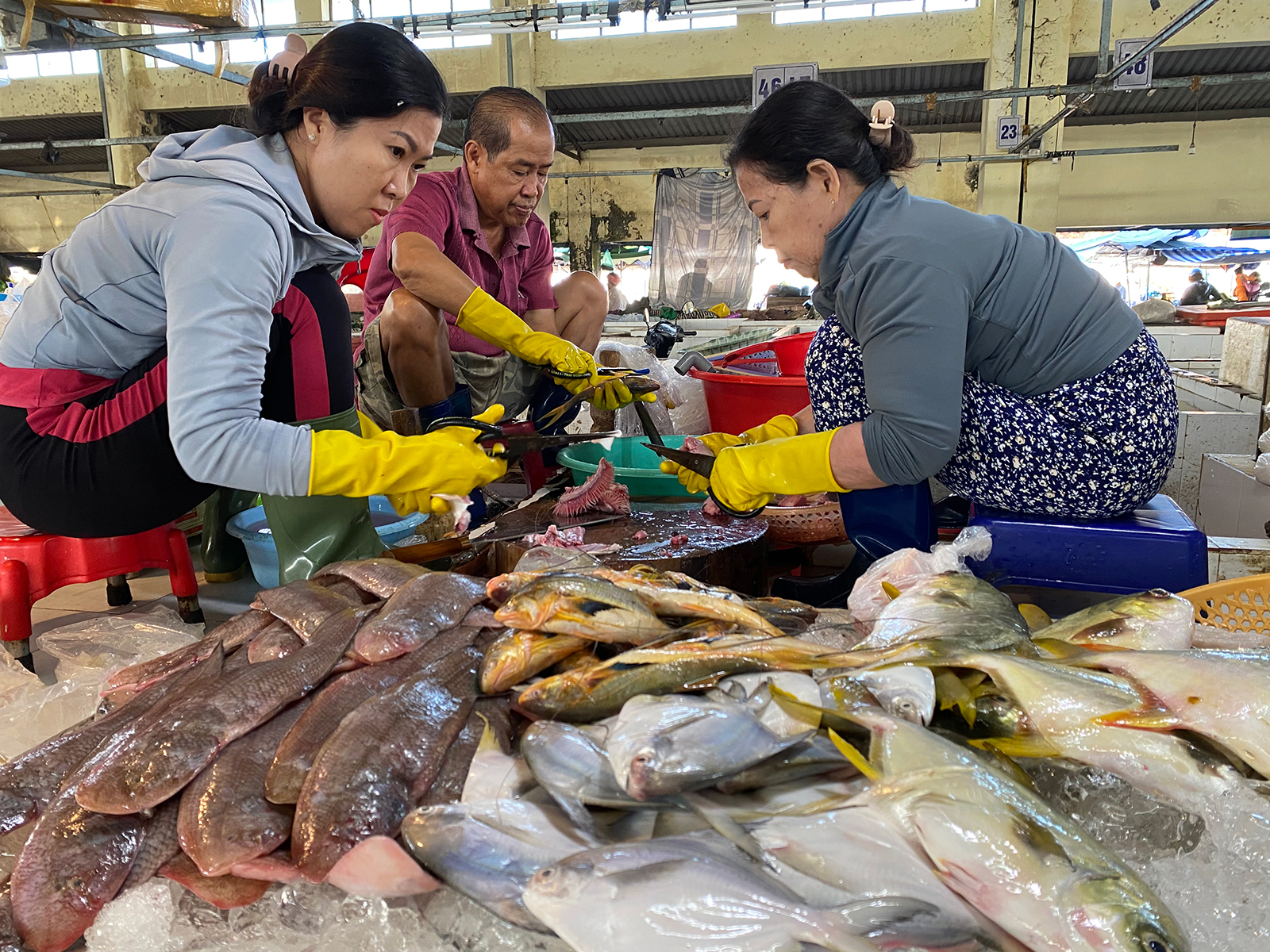 Hương vị biển Rạch Giá mùa bấc