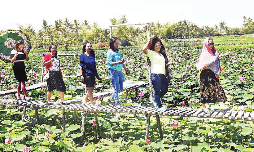 Khánh Hòa: Phát triển chăn nuôi gắn với du lịch sinh thái