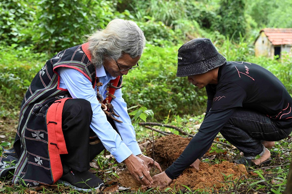 Phát động chương trình ''Rừng ơi, thở đi!'': Chung tay trồng rừng bản địa gắn với du lịch sinh thái tại Đà Nẵng