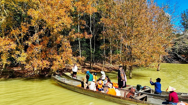 Mùa lá phong hương giữa đại ngàn Hướng Phùng (Quảng Trị)