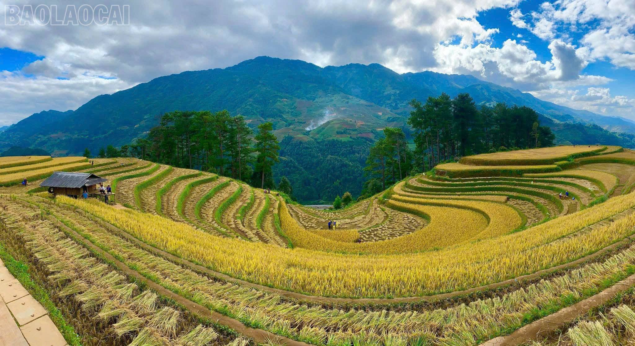 Nhiếp ảnh - cầu nối phát triển du lịch Lào Cai