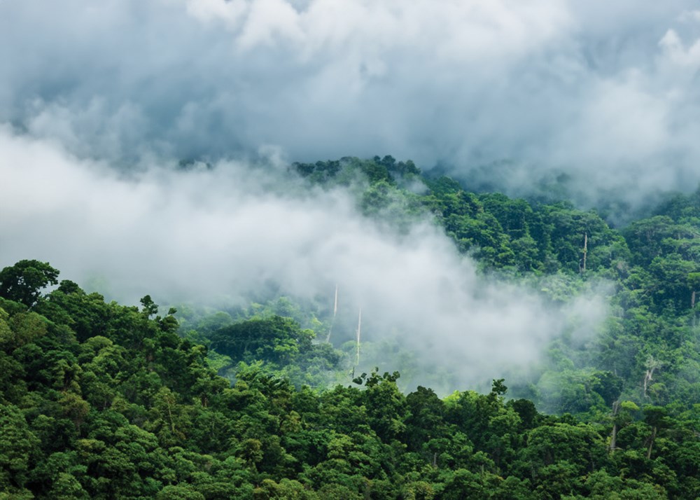 Khám phá tour xuyên rừng chinh phục ''nóc nhà'' Cúc Phương (Ninh Bình)