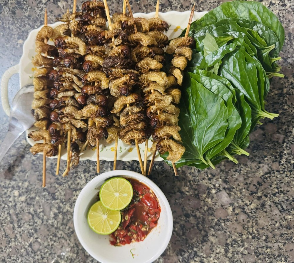 Sùng đất - món ngon ngày mưa của núi rừng Trà Liên