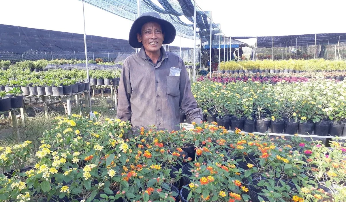 Đồng Tháp: Thế mạnh địa phương tạo thêm sức bật cho ngành du lịch