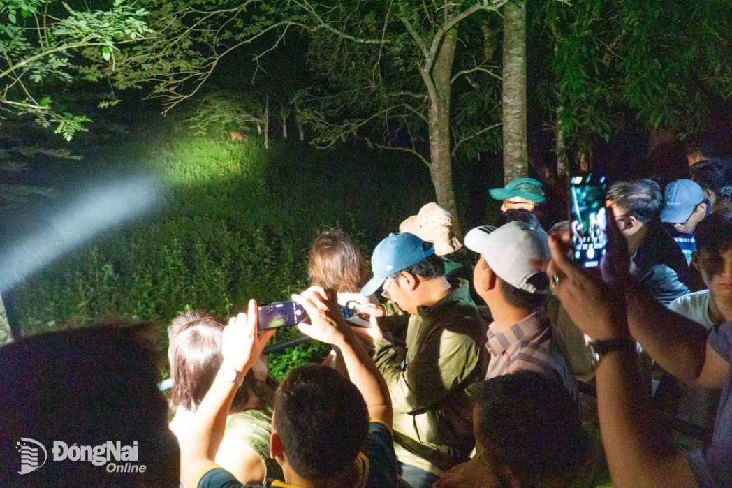 Xem thú đêm - trải nghiệm không thể bỏ lỡ tại Vườn quốc gia Cát Tiên