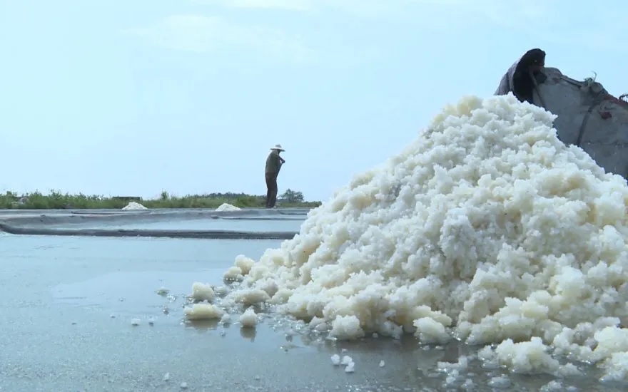 Nghề làm muối Thụy Hải trở thành Di sản văn hóa phi vật thể quốc gia