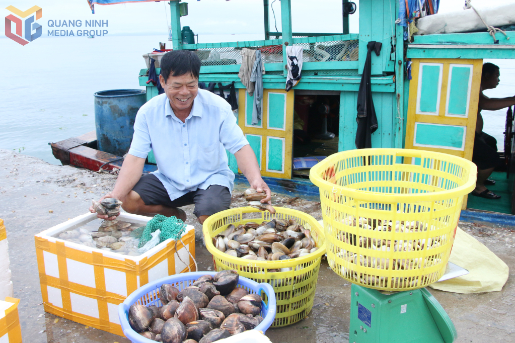 Ẩm thực Cô Tô - tinh túy từ biển