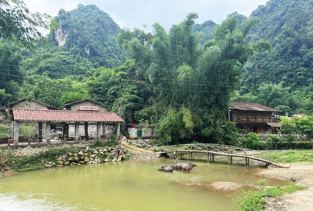 Xu hướng du lịch kết hợp làm việc