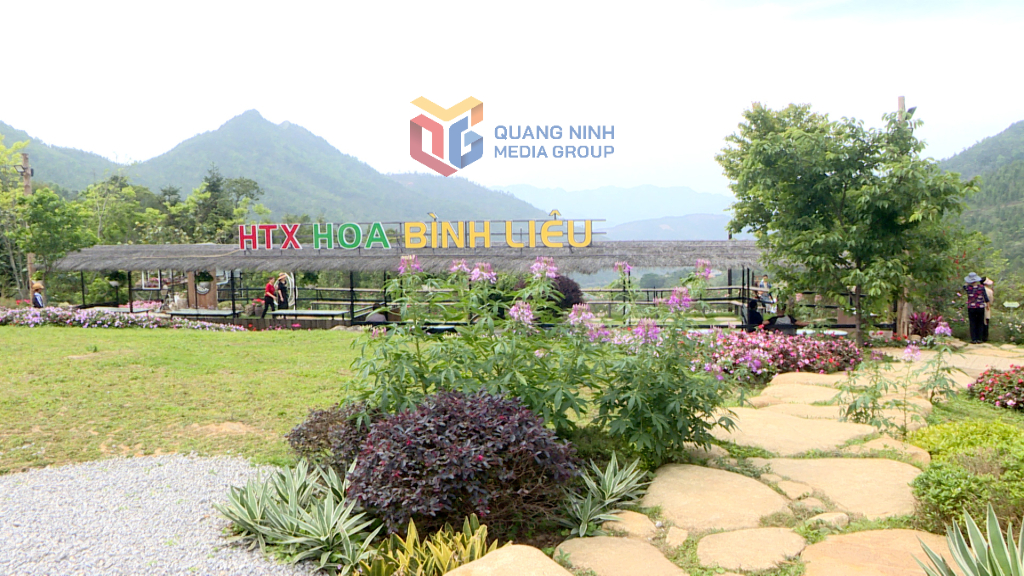 Bình Liêu: Sẵn sàng cao điểm du lịch hè