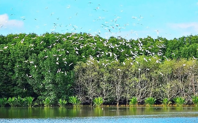 Đến nơi thiên nhiên kể chuyện