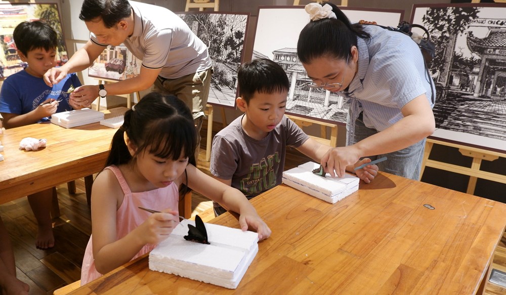 Đà Nẵng: Thú vị Workshop ''Trải nghiệm làm tiêu bản côn trùng''
